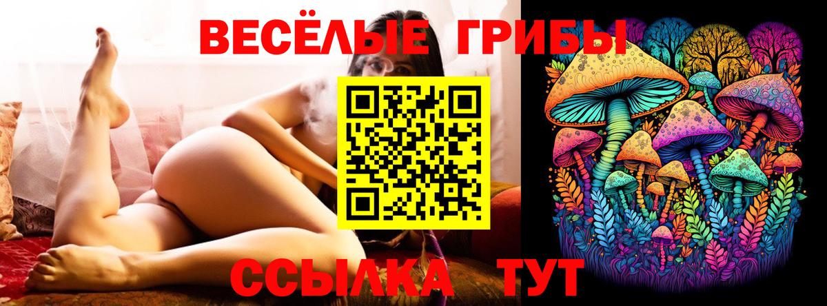 Псилоцибиновые грибы Magic Shrooms  Вход с VPN  Малоярославец 