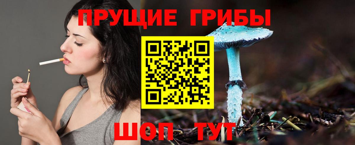 Псилоцибиновые грибы GOLDEN TEACHER Малоярославец